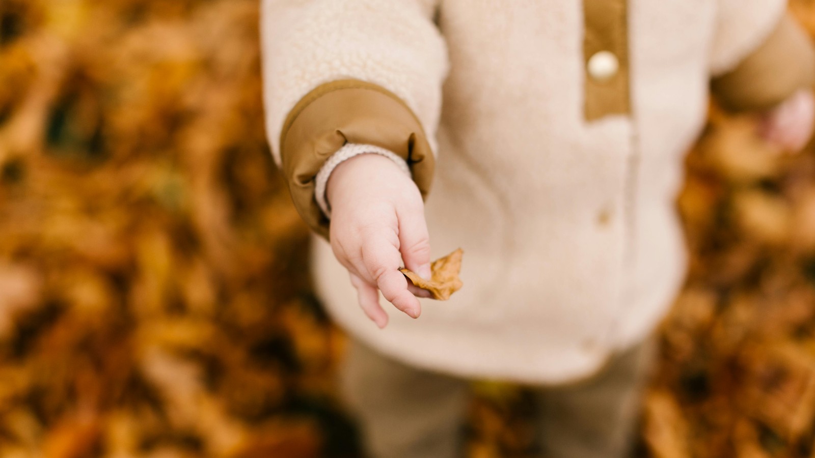 英伦风穿搭从毛衣开始:英国毛衣品牌完全指南